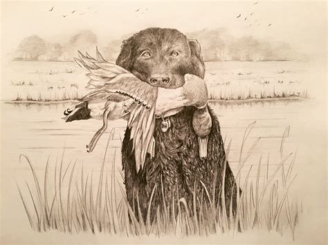 Duck Hunting Drawing At Getdrawings Free Download