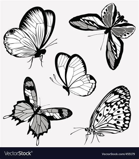 Tattoo Butterflies Royalty Free Vector Image Vectorstock