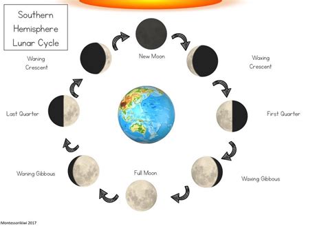 Southern Hemisphere Lunar Cycle Diagram Lunar Cycle Lunar Moon Chart