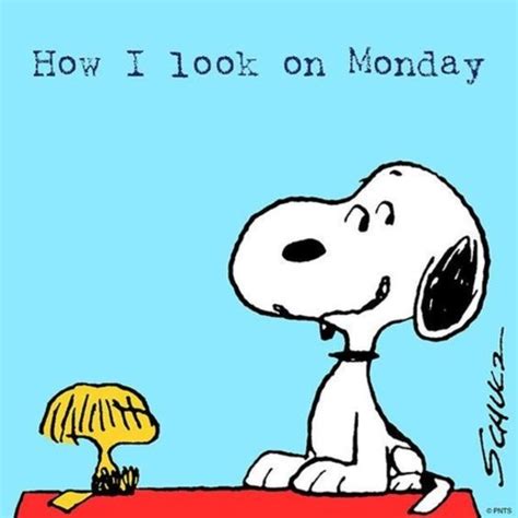 10 Monday Snoopy Quotes For The New Week