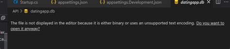 My Database Cannot Be Opened In Vs Code The File Is Not Displayed In