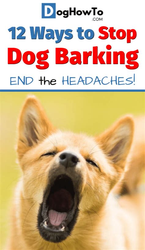 Stop Dog Barking Tips 12 Proven And Easy To Train Tips To Get Your Dog