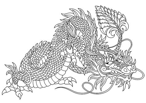 13 Brillant Coloriage Dragon Krokmou Gallery Idee De Coloriage