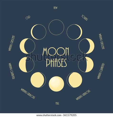 Six Moon Phases Minimal Flat Vector Stock Vector Royalty Free 361579205 Shutterstock