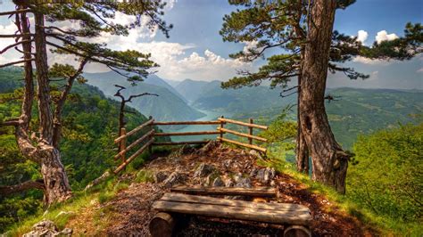 Beyond Beauty Tara National Park Serbien Incoming ™ Dmc