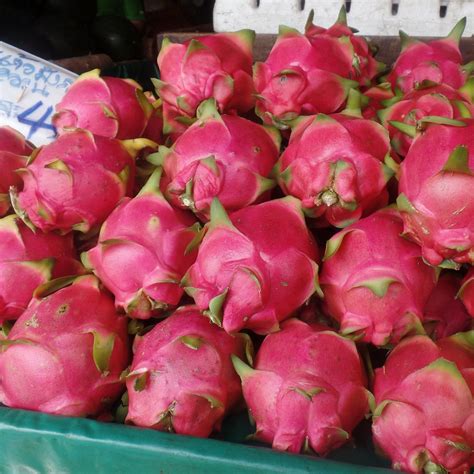 What Are The Health Benefits Of Eating Dragon Fruit