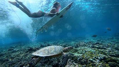 Surfing Sea Underwater Wallpapers Duck Dive Surf
