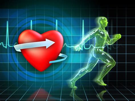 Assessing Cardiovascular Risk With Fitness Clients Free Hot Nude Porn Pic Gallery