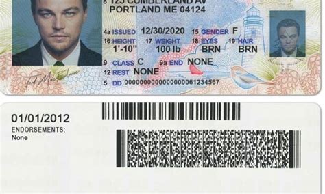 Maine Fake Driver License Scannable Buy Scannable Fake Id Best Fake