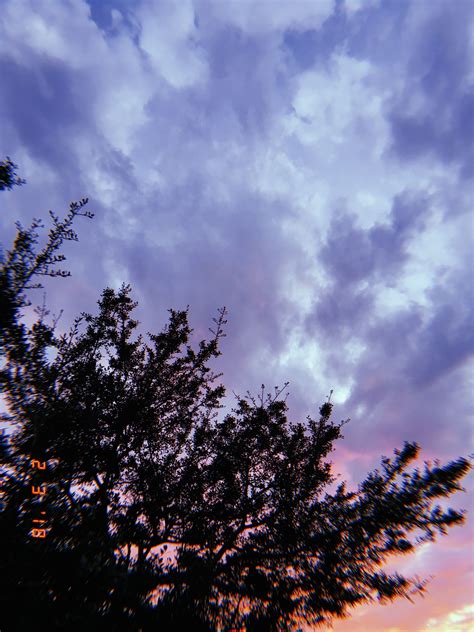Sunset Tree Clouds Aesthetic Photography Tumblr Nature