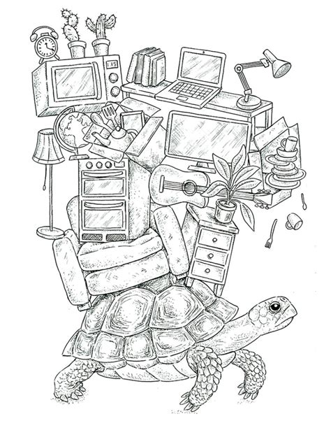 The Travelling Tortoise Matt Chamberlain Illustration