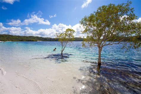 Discover Fraser Island When You Visit Coolum