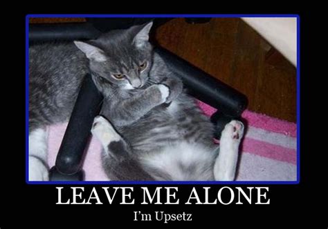 25 Funny Dog And Cat Demotivational Signs Dogtime