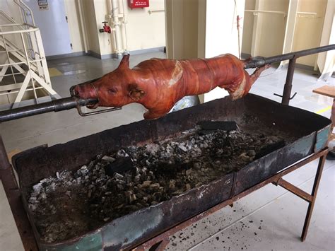 フィリピン人のソウルフード⁉️「lechon レチョン」とは一体何か 外航海運船員の船乗り日記