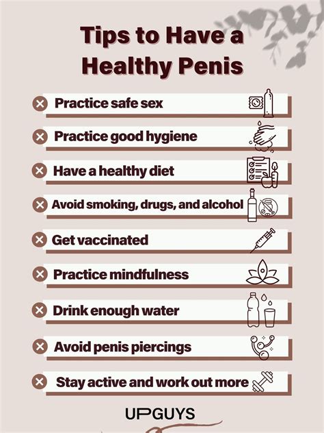 A Complete Guide For Having A Healthy Penis Upguys