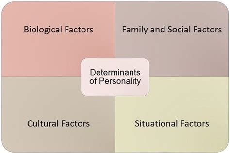 Personality Meaning And Determinants Being Intelligent