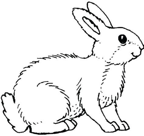 Rabbit Line Drawing At Getdrawings Free Download
