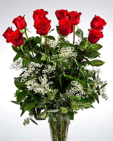 Valentine 1 Dozen Long Stemmed Roses With Babys Breath By Bloomnation
