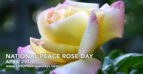 National Peace Rose Day List Of National Days