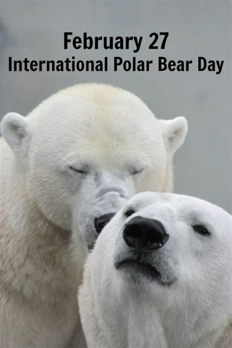 International Polar Bear Day Golden Woofs