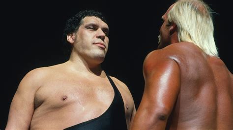 Ver Andre The Giant Movidy