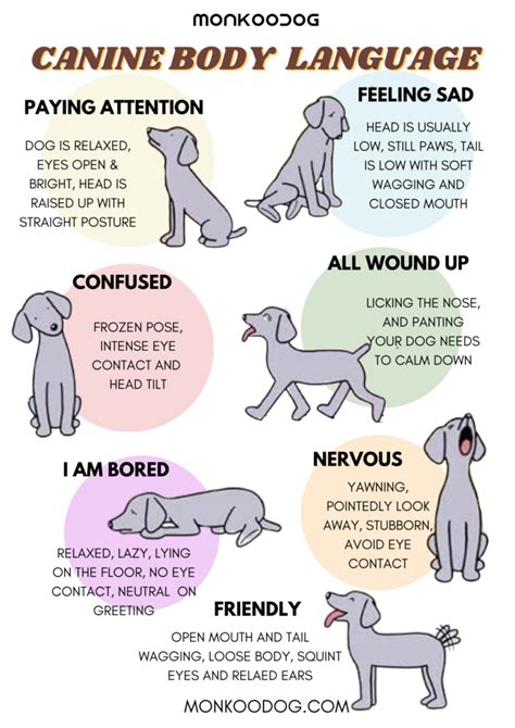 Dogs Body Language Chart