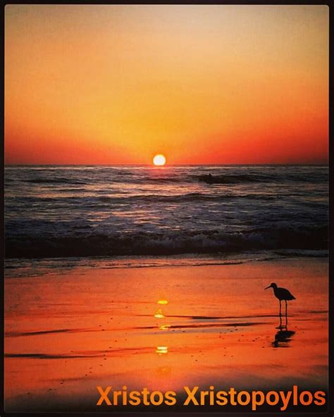 A Wonderful Sunset 🌇 On The Beach 🌊 With A Seagull 👌☺💖 Sunset Love  Pictures Seagull