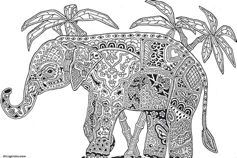 éléphant à Colorier Beau Photos Coloriage Adulte Animaux Elephant