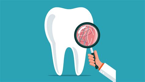 Some Useful Tips For Choosing A Good Dental Insurance Plan ...