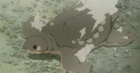 The 15 Best Anime Turtle Characters