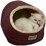 Images of Cat Beds Hooded