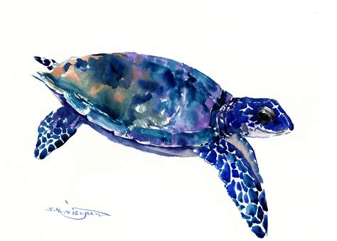 Sea Turtle Original Watercolor Painting Etsy Watercolor Painting