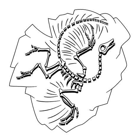 Tekenen en kleuren sjabloon met dinosaurus figuurtjes. Leuk voor kids - fossielen-en-dino-skeletten-0006