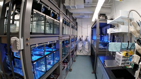 Boston University Marine Biology Dura Tech Industries Limited