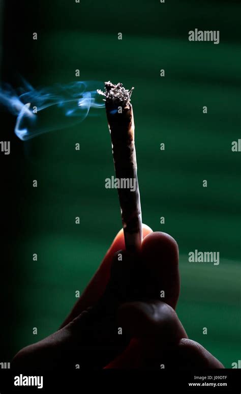 Smoking Rolling Cigarette Stock Photo Alamy