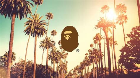 Bape Wallpaper Computer Supreme Bape Wallpapers Wallpaper Cave View The Full Collection