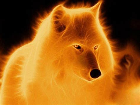 Moving Fire Wolf Wolf Love Bad Wolf Beautiful Wolves Animals