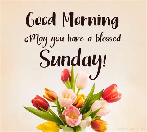 70 Happy Sunday Wishes Messages And Quotes Wishesmsg Sunday Wishes