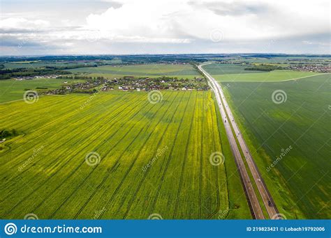 Top View Of The Sown Green In Belarusagriculture In Belarus Stock