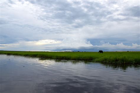 Set on the south bank of the chobe river, it faces namibia's caprivi strip to the north. Kasane and Chobe National Park | World-Adventurer