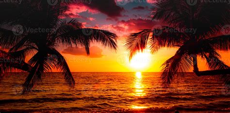 Silhouette Of Palm Trees Beautiful Sunset On The Tropical Sea Beach