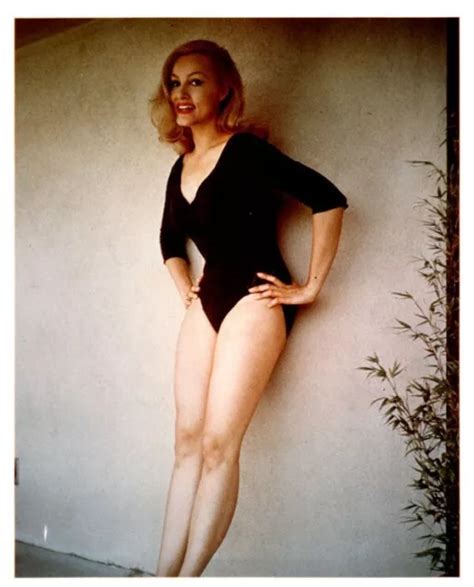 Julie Newmar Sexy Busty Leggy Leotard Glamour Pin Up Vintage 8x10 Color