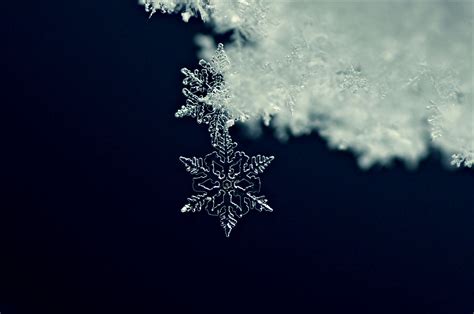 Snowflake Formation Shape And Design Explained