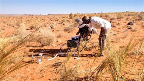 One Of The Worlds Driest Deserts Is The Focus Of A New Study On Our