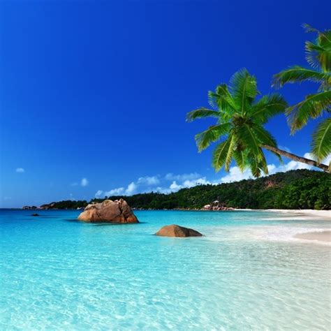 10 Latest Tropical Island Pictures Wallpaper Full Hd 1920×
