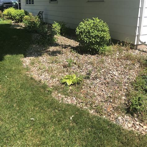 River Rock Or Mulch Landscaping