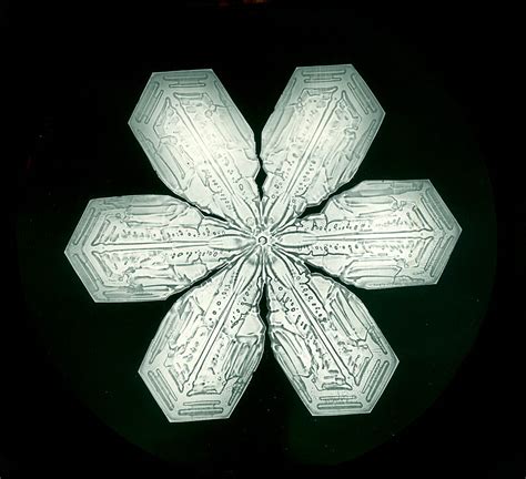 Snowflakes The Extraordinary Micro Photographs Of Winter