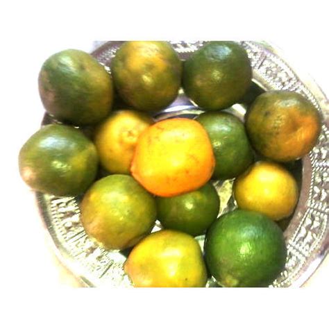 Fresh Orange At Rs 35kilogram संतरे In Coimbatore Id 4801355633