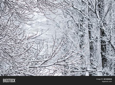 Snowing Landscape Image And Photo Free Trial Bigstock