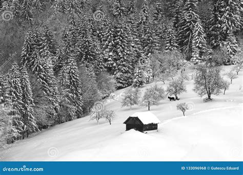 Winter In Romania Carpathian Mountains In Transylvania Stock Photo